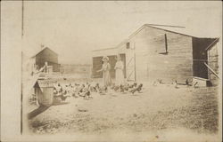 Two Women Feeding the Chickens Postcard