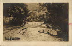 The Trout Brook at Webb Camp Walling, TN Postcard Postcard