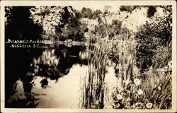 Buiharts Garden Victoria, BC Canada British Columbia Postcard Postcard