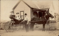 Horse Drawn Carriage Postcard