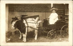 Baby Girl Riding in Goat Cart Babies Postcard Postcard