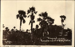 Tropical View Guantanamo Bay, Cuba Postcard Postcard