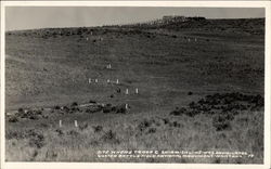 Custer Battlefield National Monument Montana Postcard Postcard