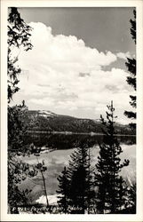 Payette Lake Idaho Postcard Postcard