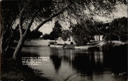 Comanche Springs, 35 Million Gal. Daily Flow Postcard