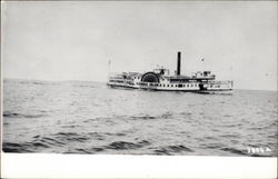 Paddleboat on the river Postcard