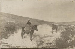 Woman and two horses in the snow Postcard