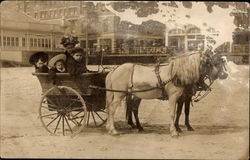 Horses and Carriage with Woman and Children Postcard