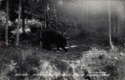 Bear-Porcupine Mts. State Park Postcard