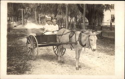 Two children driving a donkey cart Postcard Postcard