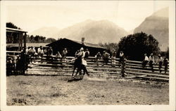 Bronco Riding Rodeos Postcard Postcard