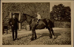 Father and Son who is riding a horse Horses Postcard Postcard