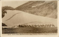 Horses at Swift Current Pass Trail at Glacier Park Glacier National Park Postcard Postcard