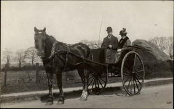 Couple in a Horse and Buggy Horses Postcard Postcard