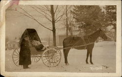 Horse and Buggy with Driver Postcard