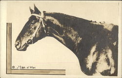 Man o' War Postcard