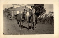 Farmer and two horses Postcard