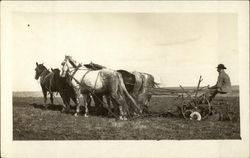 Ploughing Scene Postcard