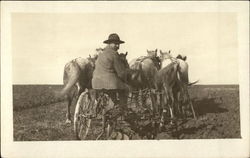 Farmer on Plow and His Team of Horses Postcard