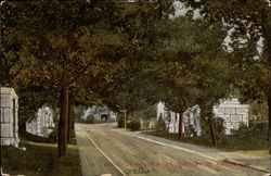 Driveway Mount Mora Cemetery Postcard