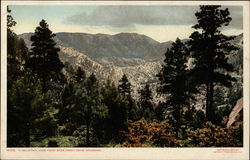 A Mountain View from Bear Creek Drive Colorado Postcard Postcard