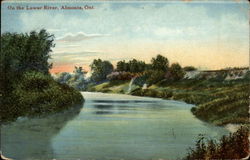 On the Lower River Postcard