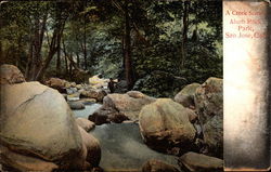 A Creek Scene Alum Rock Park San Jose, CA Postcard Postcard