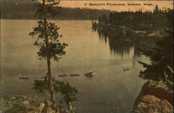 Spokane's Playground Washington Postcard Postcard