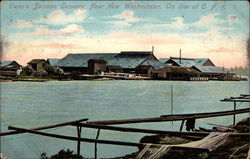 Ewen's Salmon Cannery Postcard