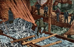 Ocean fishermen bringing in their catch Postcard