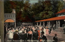 Main Promenade - Waldameer Park Erie, PA Postcard Postcard