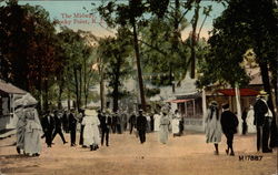 The Midway Postcard