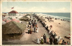 Tent City Coronado, CA Postcard Postcard