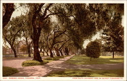 Marengo Avenue Pasadena, CA Postcard Postcard