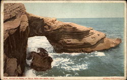 Alligator Head, La Jolla Postcard