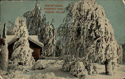 Winter Scene, Prospect Park Postcard