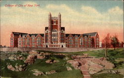 College of the City of New York Postcard Postcard