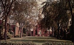 Sterling Divinity Quadrangle, Yale University Postcard