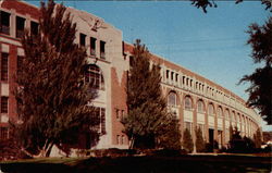 State Fair Grounds Postcard