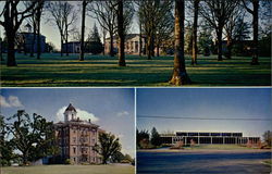 Birthday Greetings from Linfield College Alumni Association Postcard