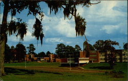 Campus of Northwestern State College of Louisiana Postcard