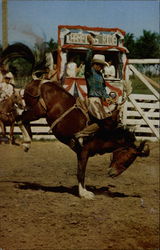 Champion Ride Rodeo Postcard