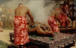 Luau Pig Postcard