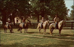 Horse Back Riding Postcard