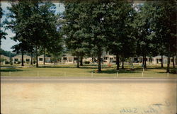 Mosley's Shady Lake Motel Postcard