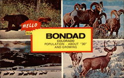 Hello from Bondad Colorado, Population About "30" and Growing Postcard