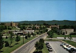 University of Steubenville Postcard