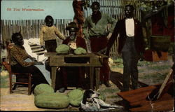 Five-member black family poses in backyard with watermelons, dog, and opossum Black Americana Postcard Postcard