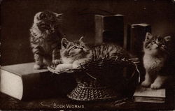 Two cats sit on books and one cat rests in a basket Postcard