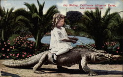 Joy Riding - California Alligator Farm Postcard